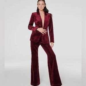 Express Velvet Pants